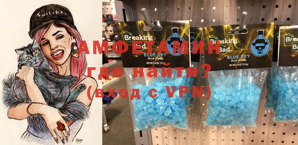 индика Алексин