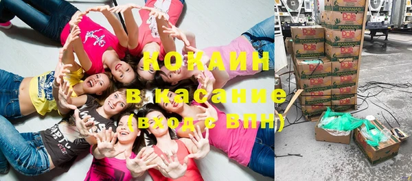 индика Алексин