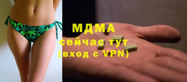 индика Алексин