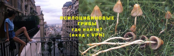 бошки Абдулино