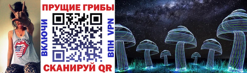Псилоцибиновые грибы Magic Shrooms  наркота  Лакинск 